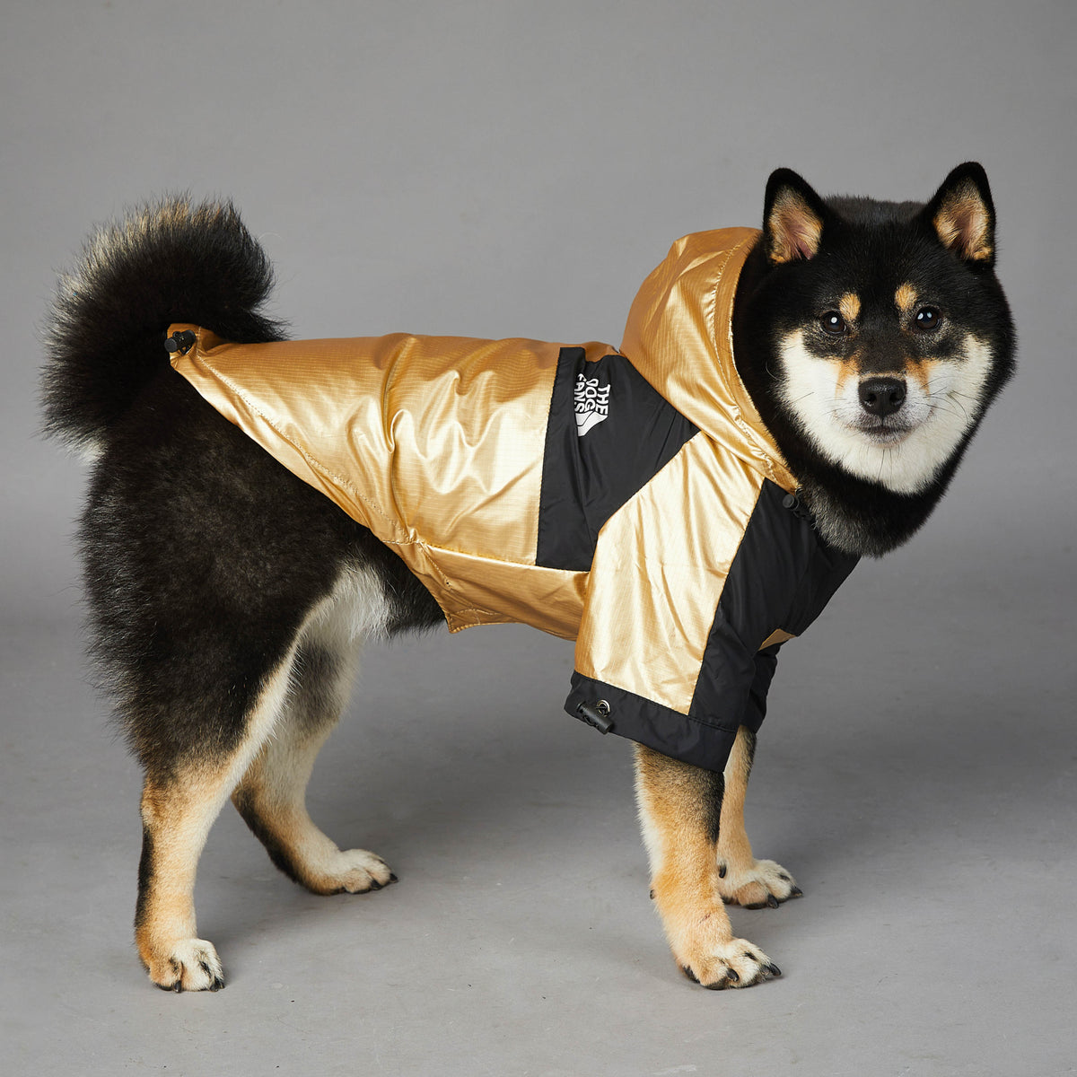 Chouchoute Rainy Day – Waterdichte hondenregenjas