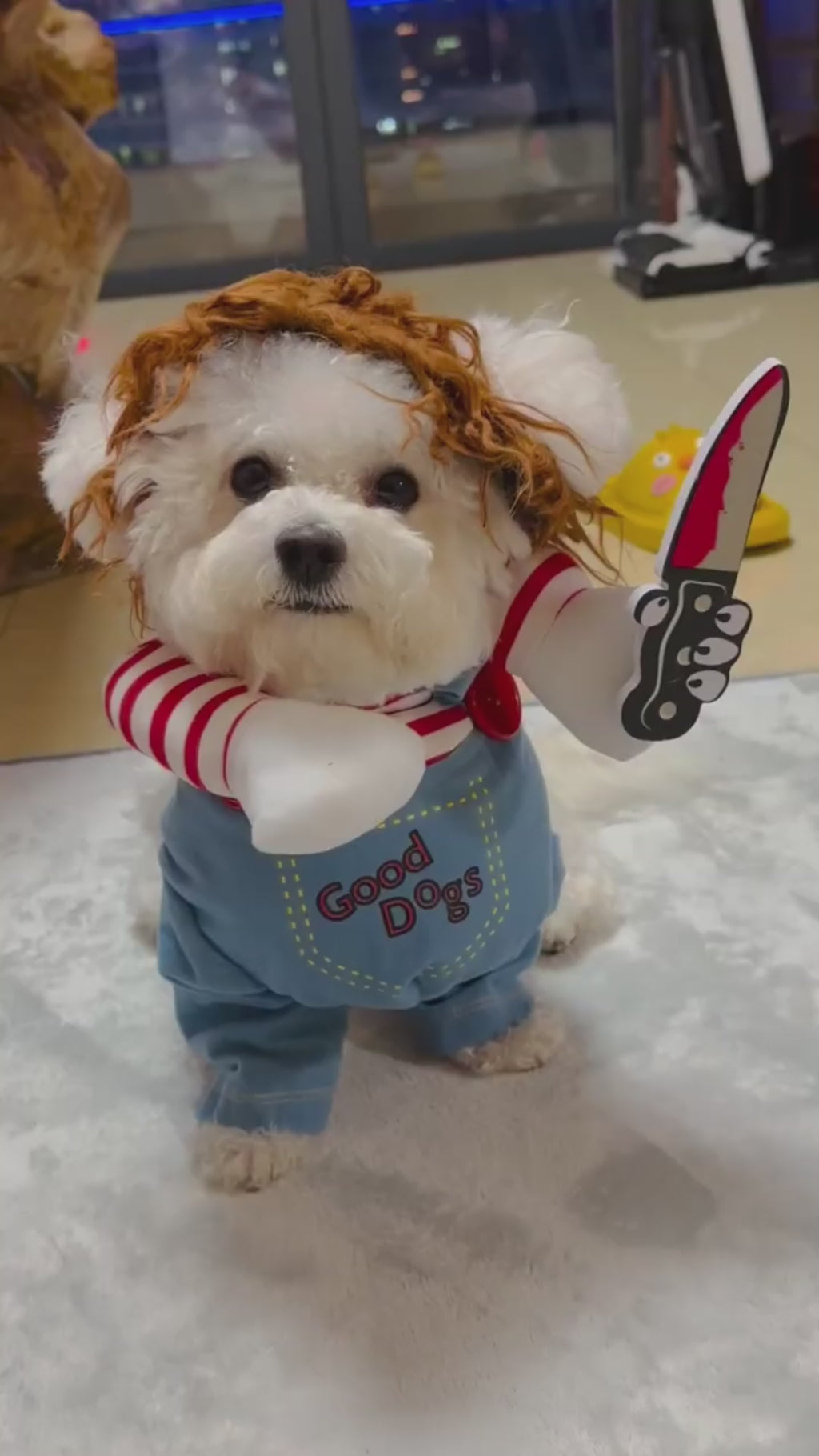 Chouchoute Halloween Star – Adjustable Pet Costume